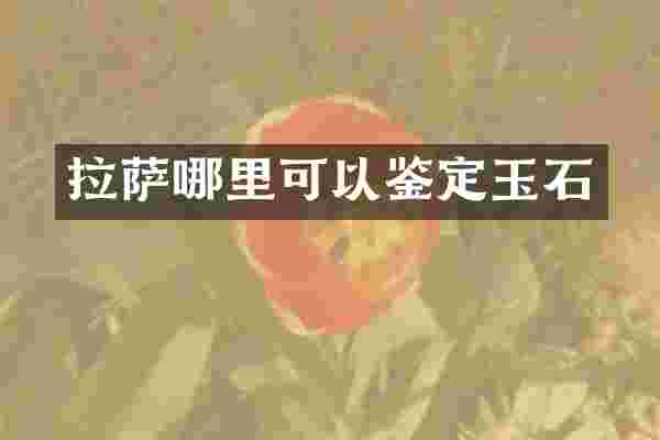 拉萨哪里可以鉴定玉石