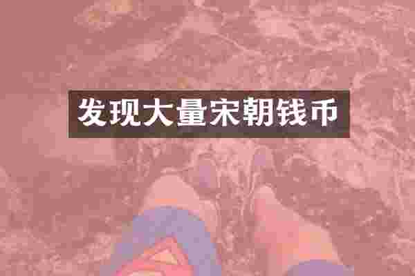 发现大量宋朝钱币