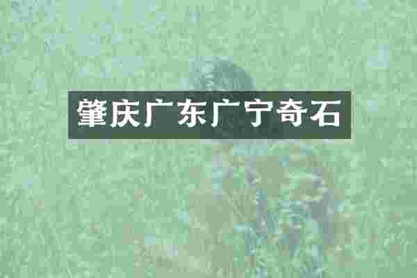 肇庆广东广宁奇石