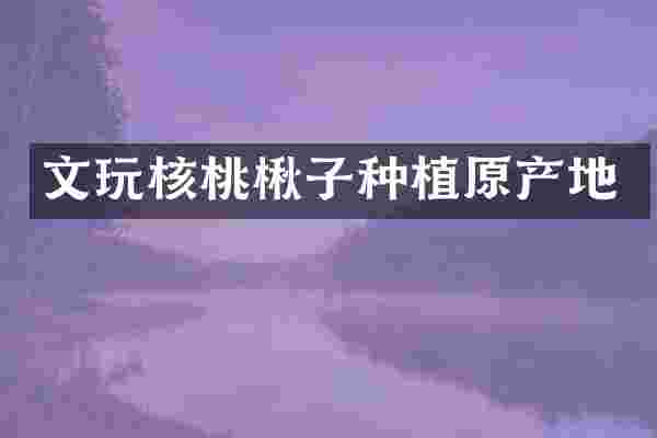 文玩核桃楸子种植原产地