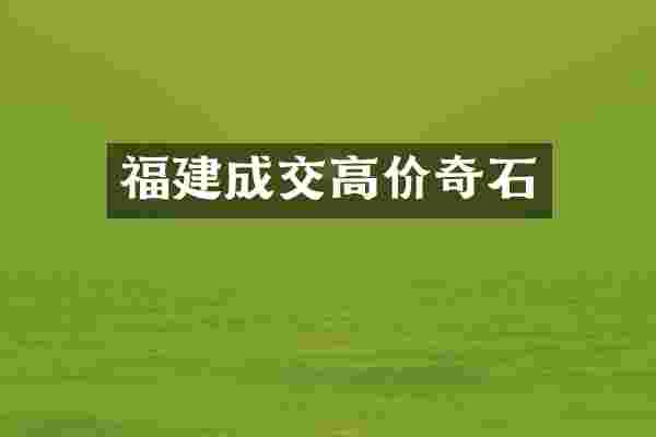 福建成交高价奇石
