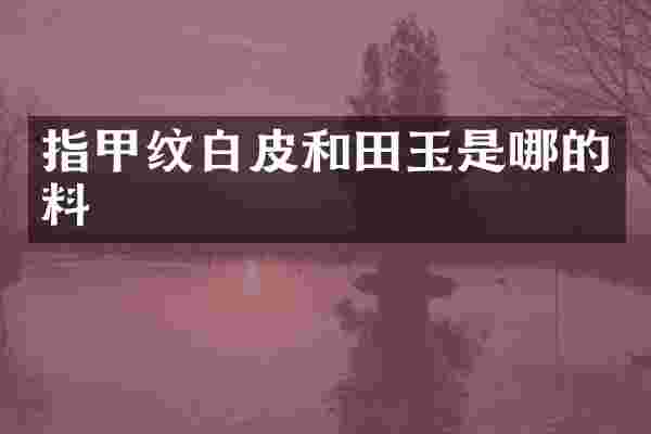 指甲纹白皮和田玉是哪的料