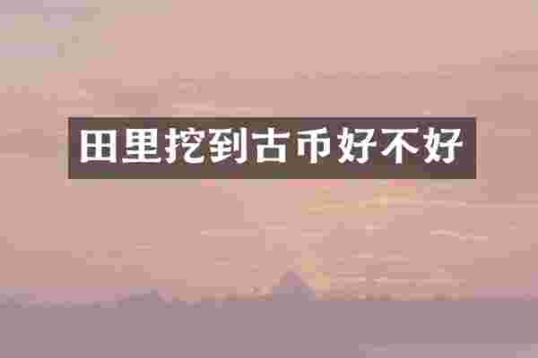 田里挖到古币好不好