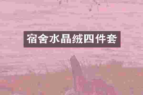 宿舍水晶绒四件套