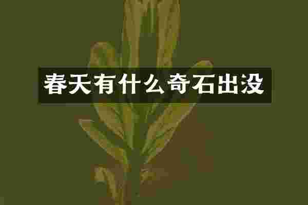 春天有什么奇石出没