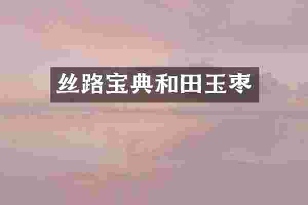丝路宝典和田玉枣