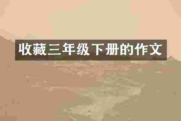 收藏三年级下册的作文