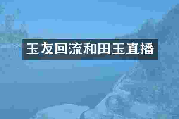 玉友回流和田玉直播