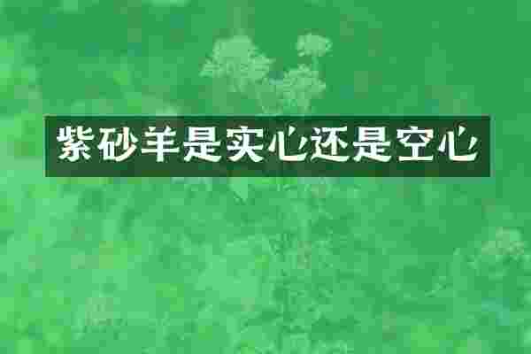 紫砂羊是实心还是空心