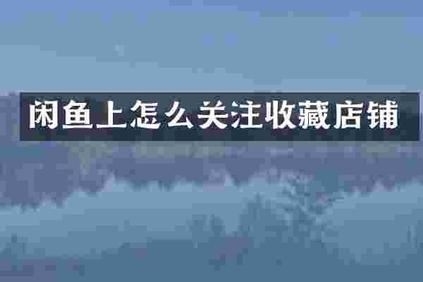 闲鱼上怎么关注收藏店铺