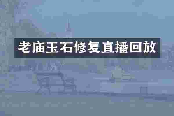 老庙玉石修复直播回放