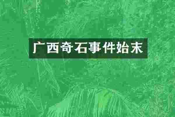 广西奇石事件始末