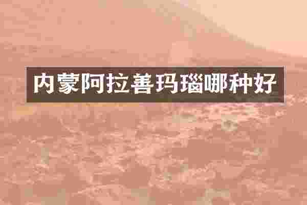 内蒙阿拉善玛瑙哪种好