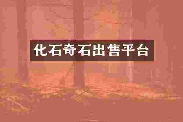 化石奇石出售平台