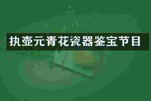 执壶元青花瓷器鉴宝节目
