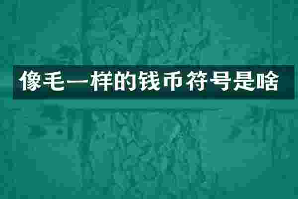 像毛一样的钱币符号是啥