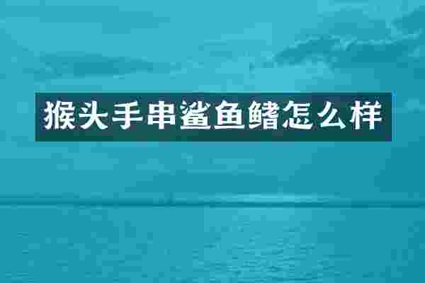 猴头手串鲨鱼鳍怎么样