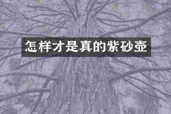 怎样才是真的紫砂壶