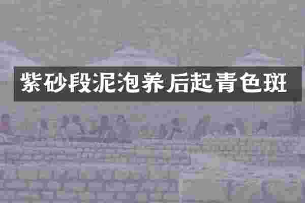 紫砂段泥泡养后起青色斑