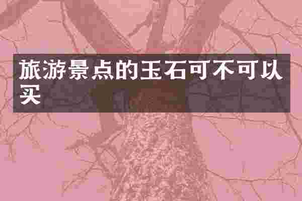 旅游景点的玉石可不可以买