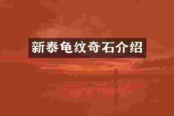 新泰龟纹奇石介绍