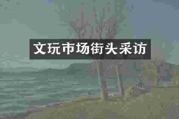 文玩市场街头采访