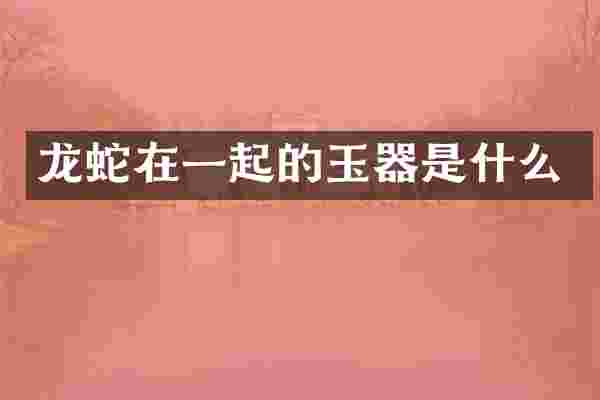 龙蛇在一起的玉器是什么