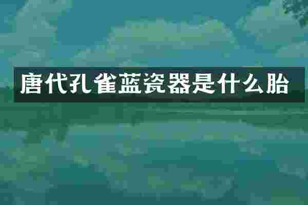 唐代孔雀蓝瓷器是什么胎