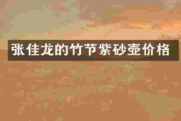 张佳龙的竹节紫砂壶价格