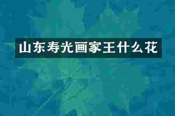 山东寿光画家王什么花