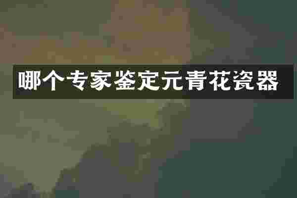 哪个专家鉴定元青花瓷器