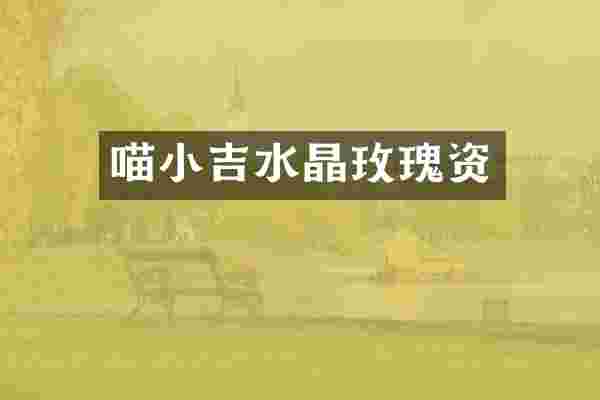 喵小吉水晶玫瑰资