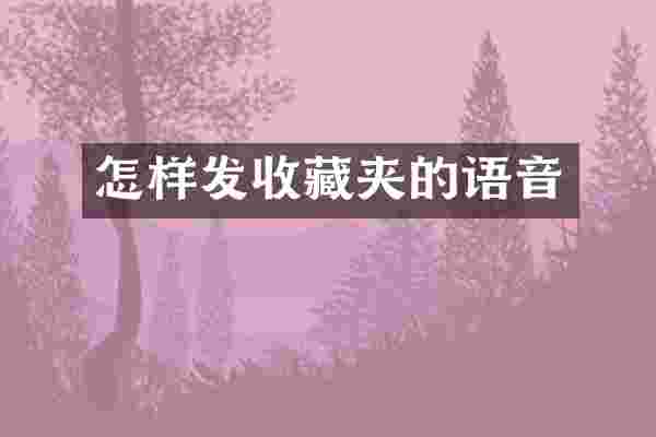 怎样发收藏夹的语音