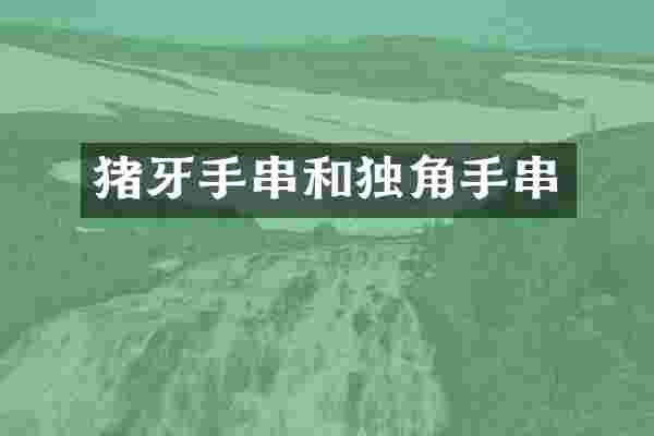 猪牙手串和独角手串