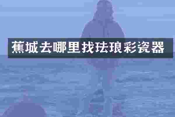 蕉城去哪里找珐琅彩瓷器