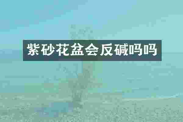 紫砂花盆会反碱吗吗