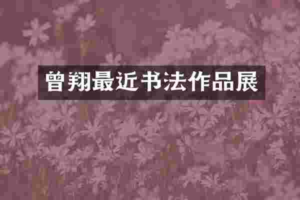 曾翔最近书法作品展