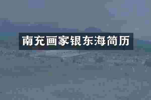 南充画家银东海简历