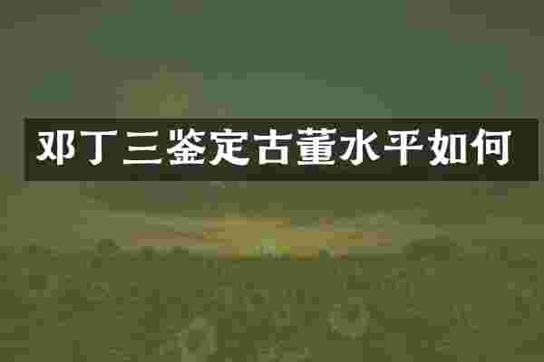 邓丁三鉴定古董水平如何