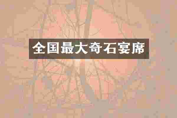 全国最大奇石宴席