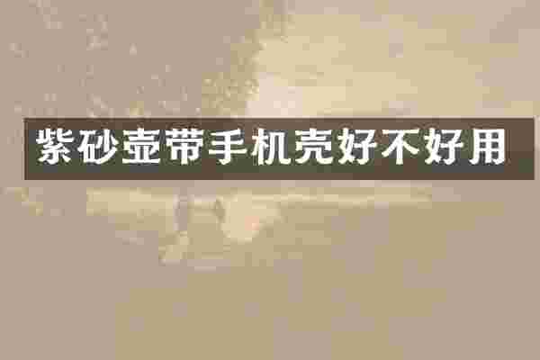 紫砂壶带手机壳好不好用