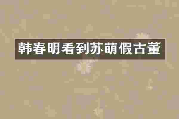 韩春明看到苏萌假古董