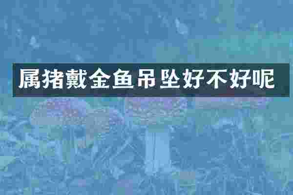 属猪戴金鱼吊坠好不好呢