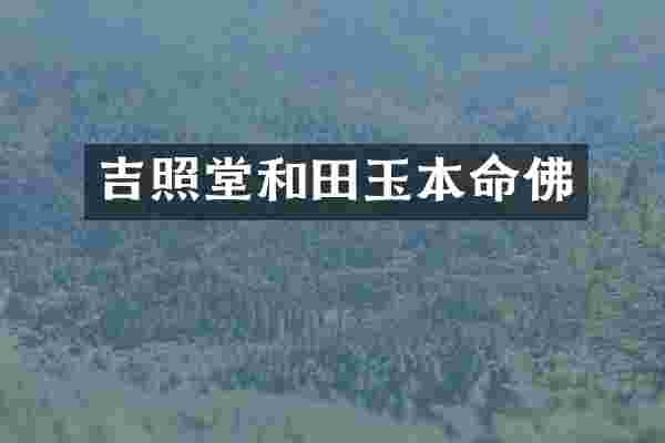 吉照堂和田玉本命佛