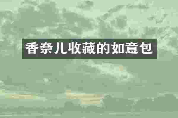 香奈儿收藏的如意包