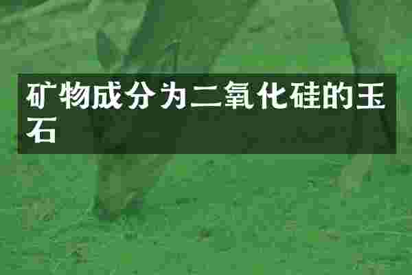 矿物成分为二氧化硅的玉石