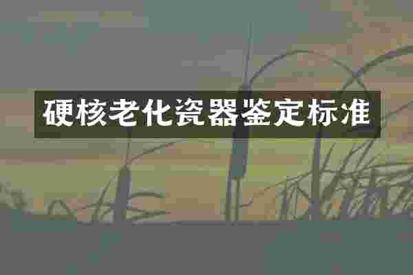 硬核老化瓷器鉴定标准