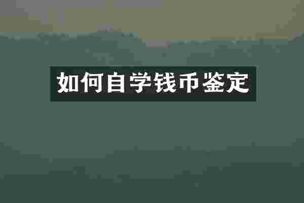 如何自学钱币鉴定