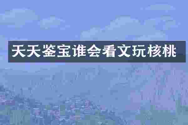 天天鉴宝谁会看文玩核桃