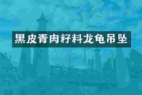 黑皮青肉籽料龙龟吊坠